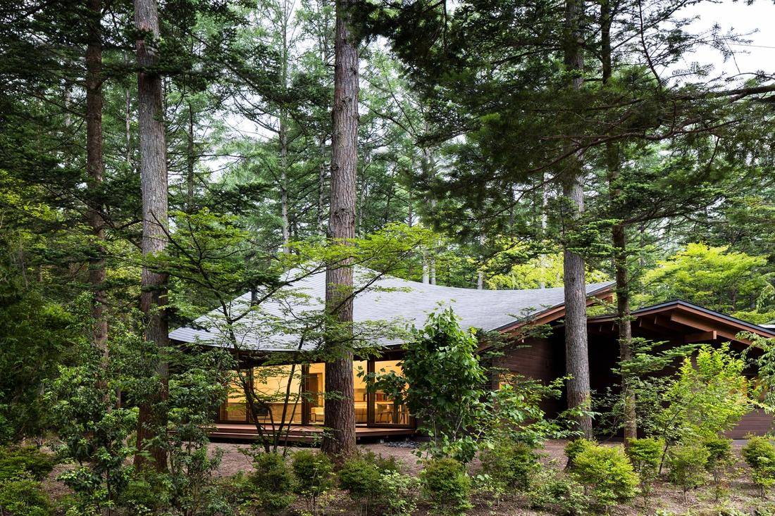 Căn biệt thự được bao bọc bởi rừng cây xanh mát, trong lành và bình yên.