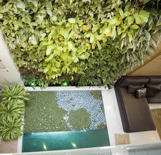 Vườn tường đứng xanh mát mang thiên nhiên vào nhà